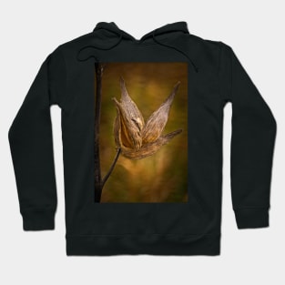 Horicon Marsh - Seed Pod in Golden Tones Hoodie